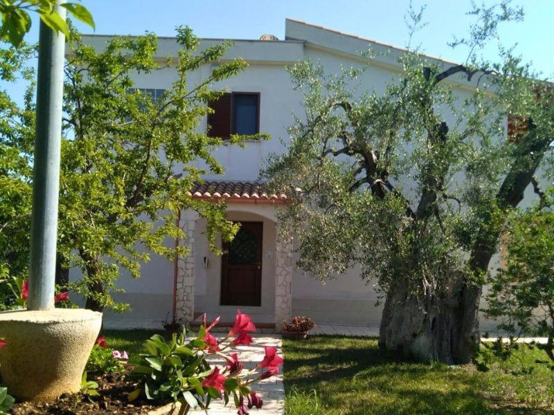 Borgo Cerasa Bed & Breakfast Весте Екстериор снимка